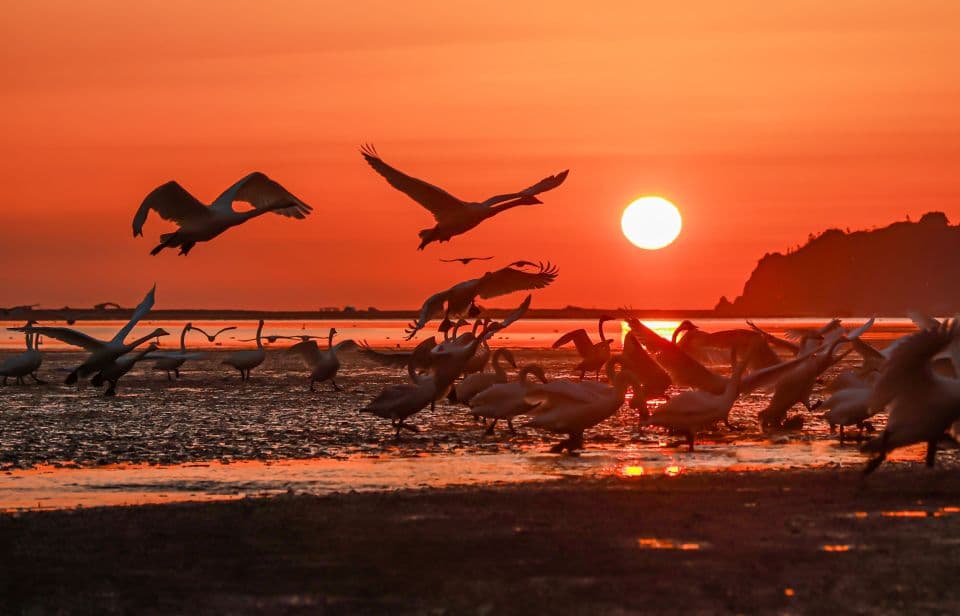 跨应用的组件共享