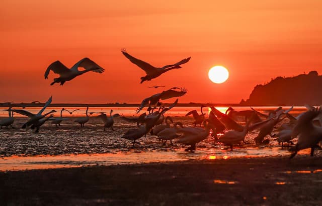 threejs实现载入模型